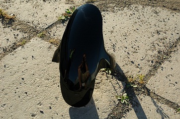 Front Fender