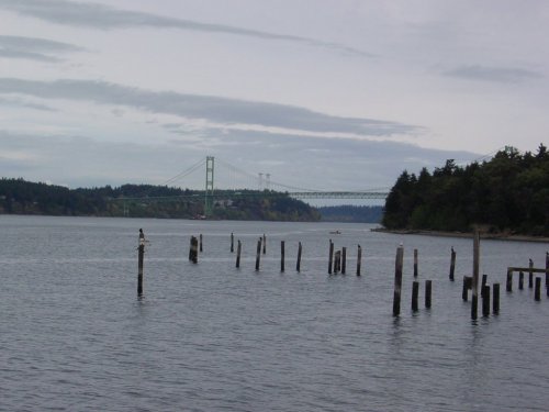 The Tacoma Narrows Bridge