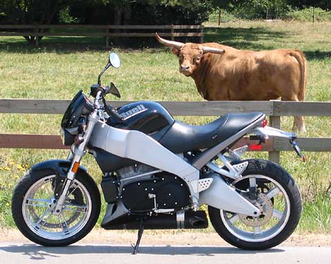 Buell and Bull