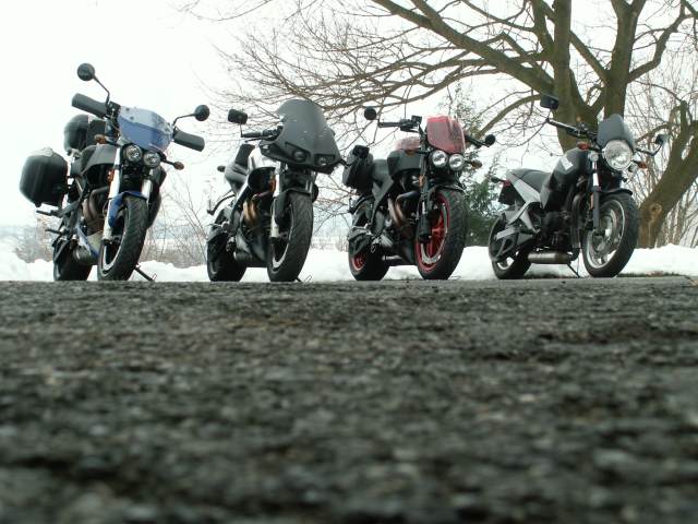 Our Buell's